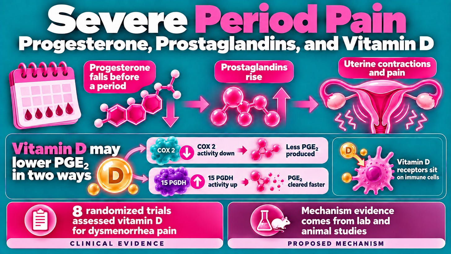 Severe Period Pain and Prostaglandins, Vitamin D and Progesterone?