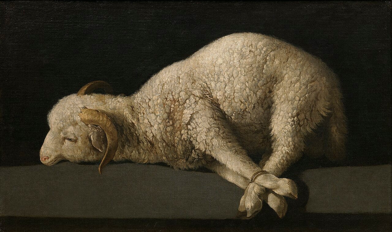 Zurbaran Agnus Dei lamb Zurbaran Agnus Dei lamb
