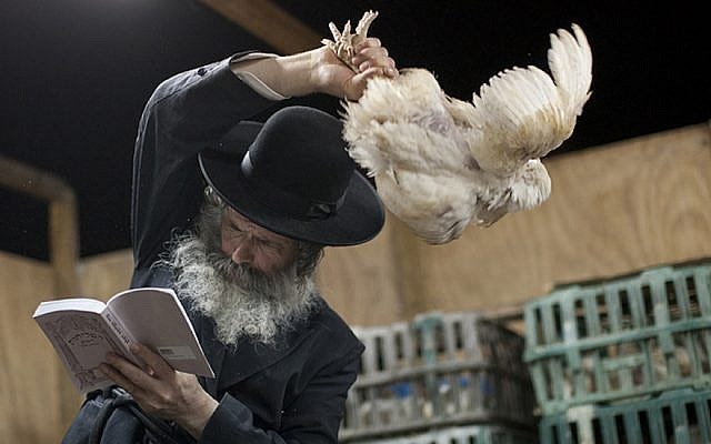 California animal rights group sues to end pre-Yom Kippur chicken ritual |  The Times of Israel
