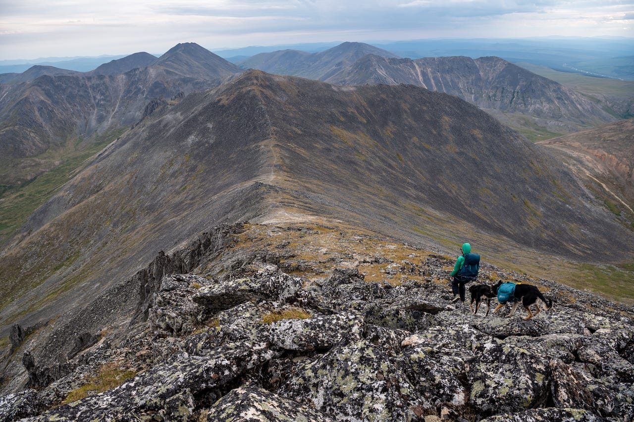 A hiker in a green jacket and two dogs descend a wide tundra-and-rock ridge toward a low saddle, beyond which bare peaks roll away into hazy distance under a broken overcast.