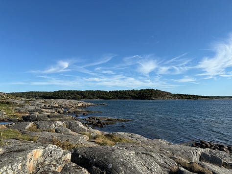 Images of the beach in sweden and few distant family members