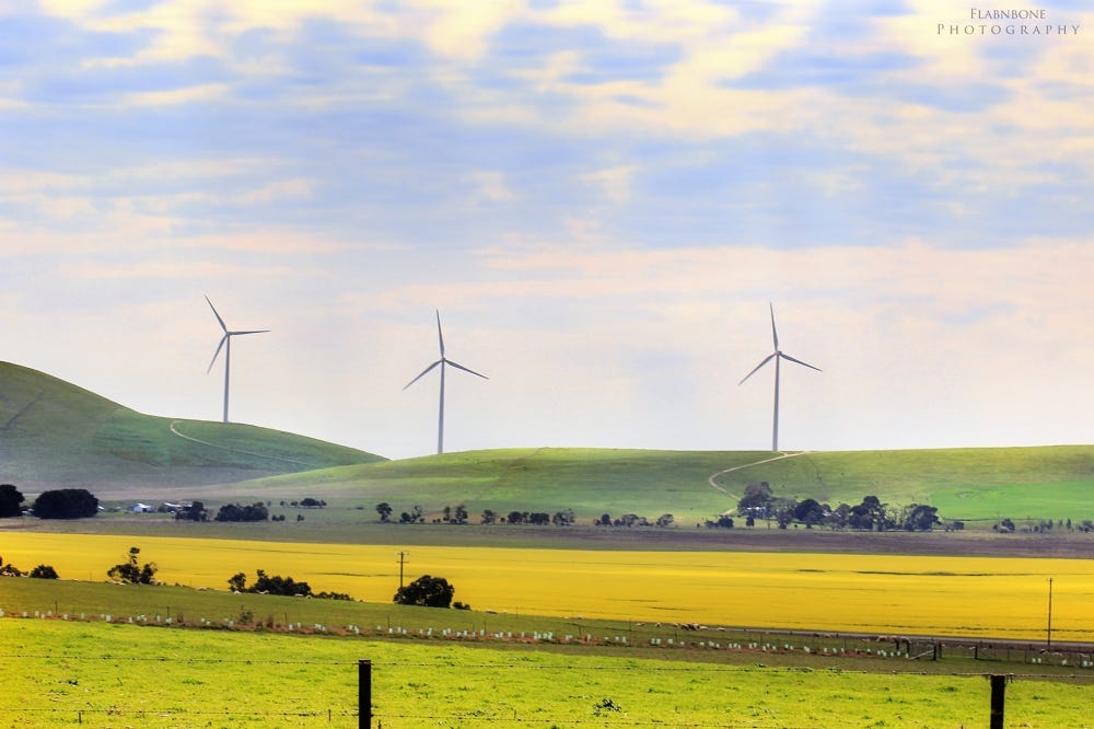 Canola Season @ Waubra Wind Farm – The Car-The Camera-and-The World