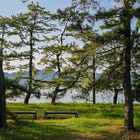 Affordances and Awareness ✍️