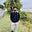 Hetish Umashankar's avatar