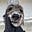 Hillary Michelson's avatar