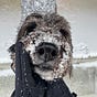 Hillary Michelson's avatar