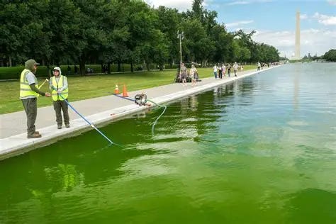 Trump Says $14 Million Reflecting Pool May Be Drained Weeks After ...