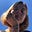 tabitha's avatar