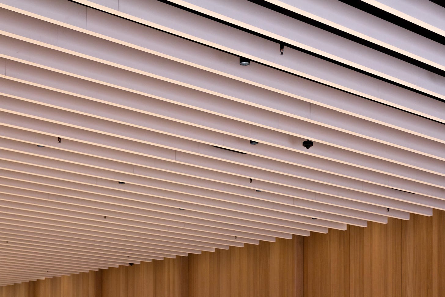 Ceiling baffles at Apple Tysons Corner.