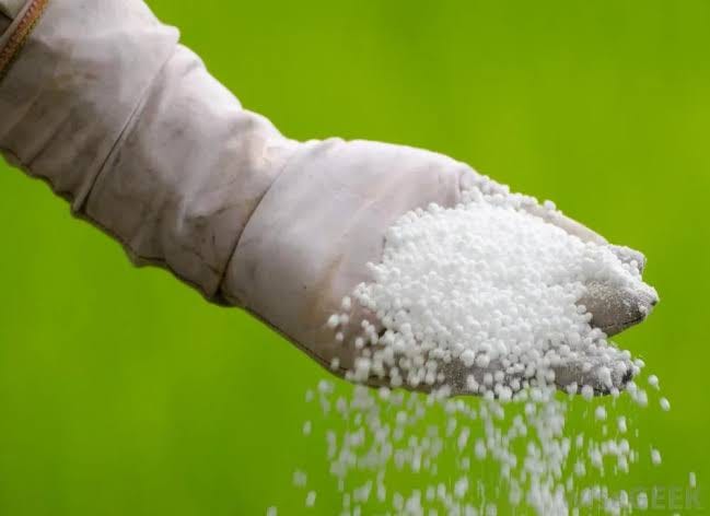 What Is Urea Nitrogen Fertilizer? | The Tree Center™ What Is Urea Nitrogen Fertilizer? | The Tree Center™