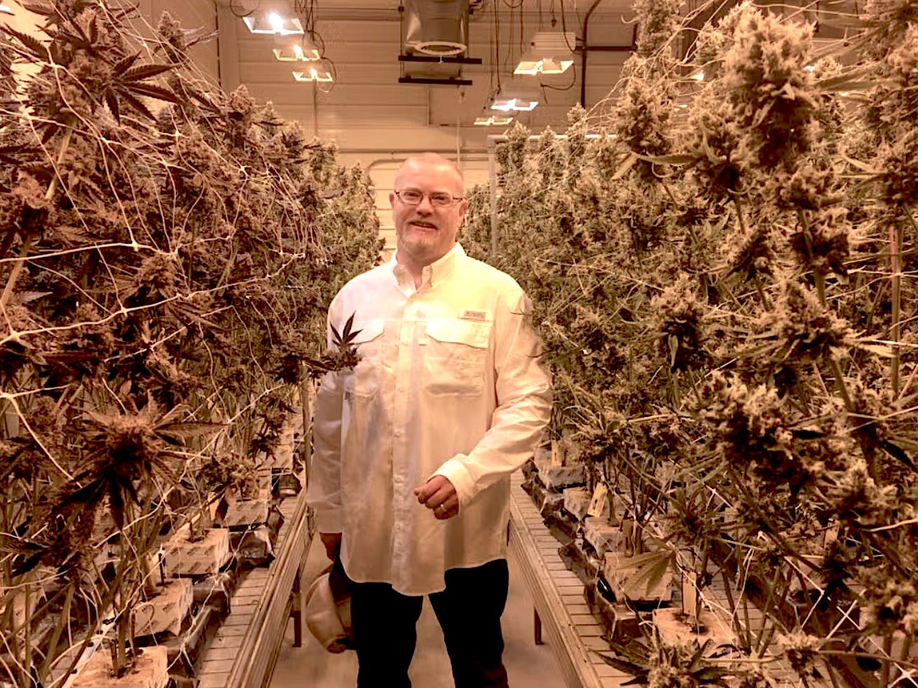 man with white shirt glasses in indoor weed grow