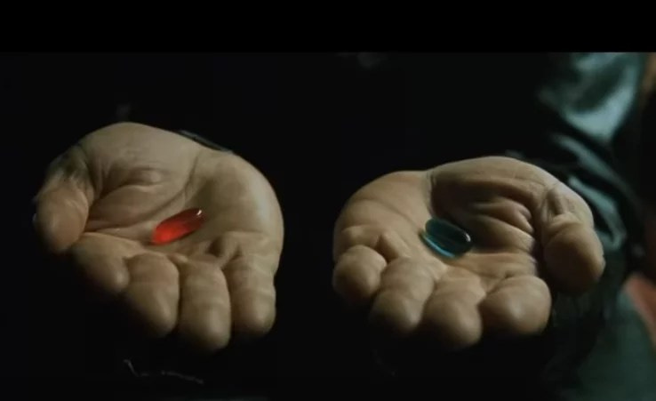 Le mouvement Red pill, l'idéologie woke des conservateurs - IREF Europe -  Contrepoints