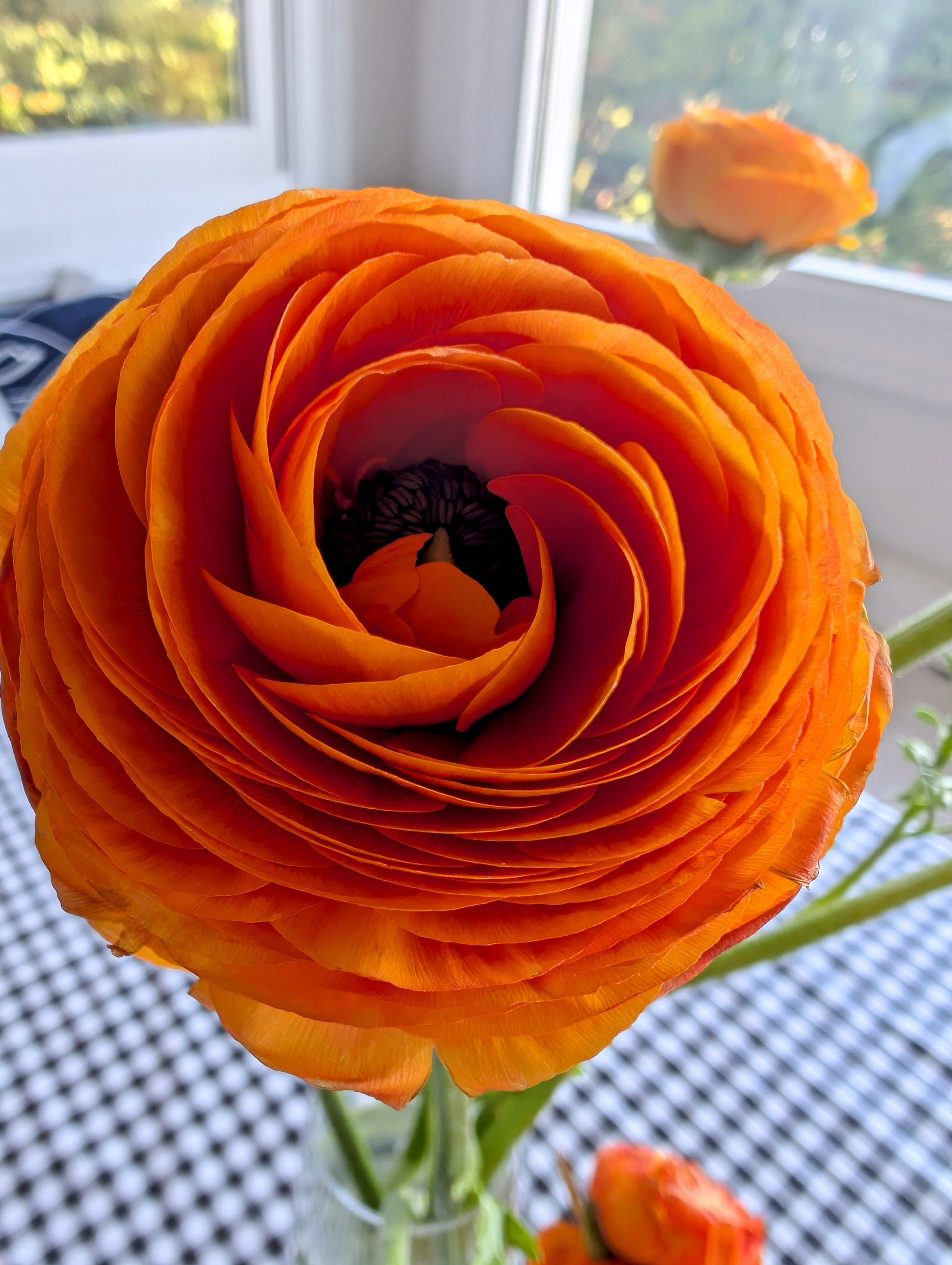 Artwork for MLY’s Substack