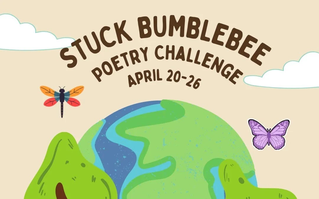 Comments - Day 1: Stuck Bumblebee Poetry Challenge!