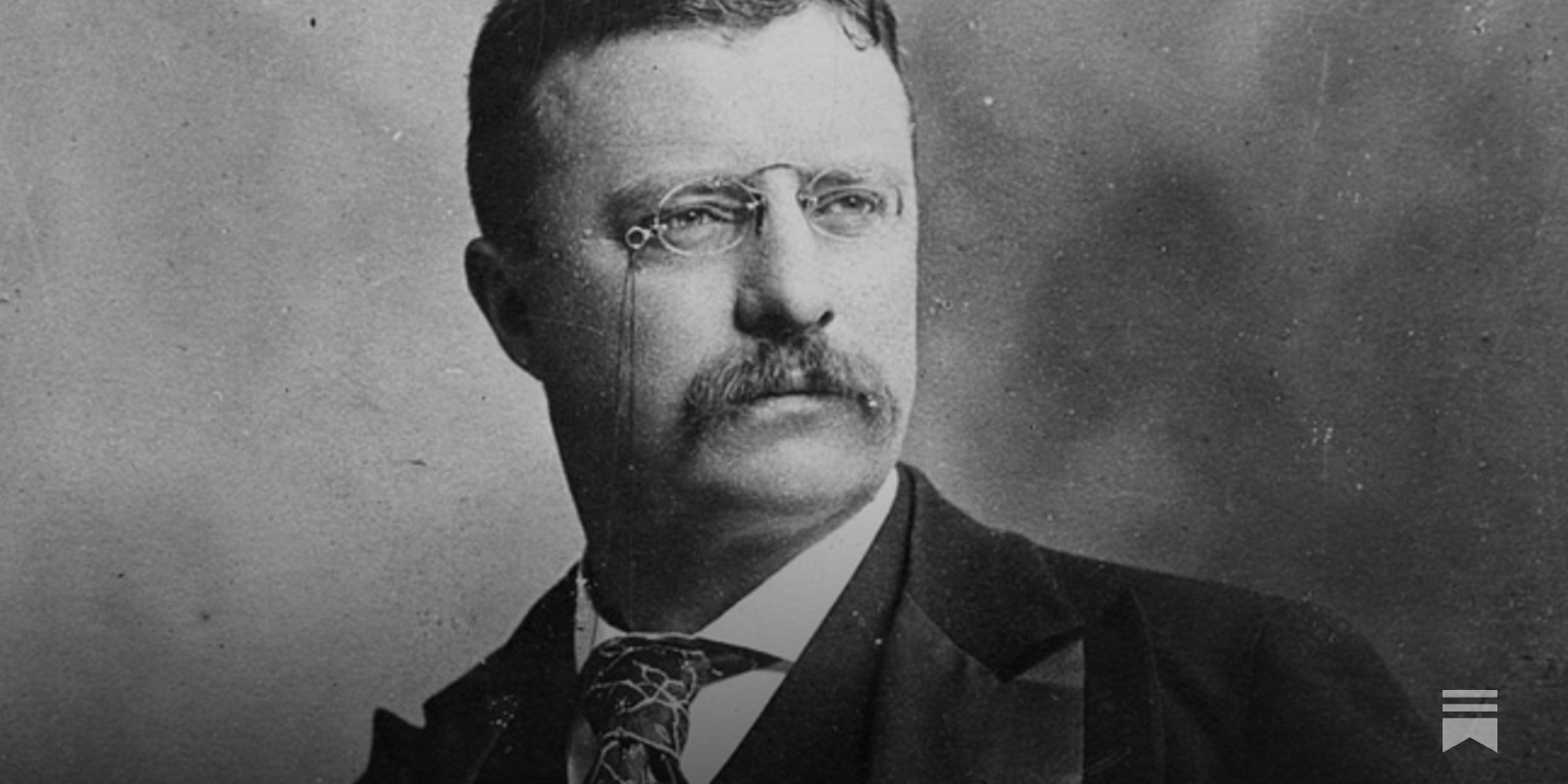 The Rise of Theodore Roosevelt by Edmund Morris, image size:1600x800