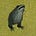 weird medieval guys's avatar