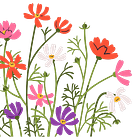 An invitation to you 🌿