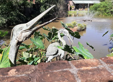 Scenes from the gardens and yard of the Houmas House including a pond sculpture of a crane, the pillars of the front porch with a peacock, and large old live oak trees.