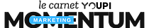 Momentum Marketing