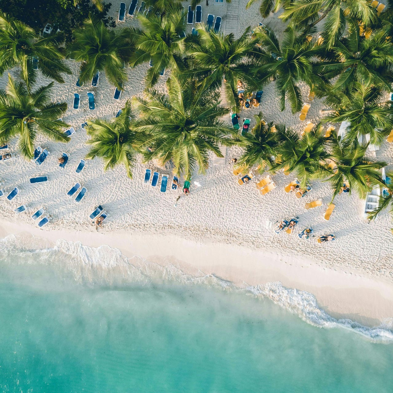 The All-Inclusive Resort Hunter