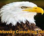Orlovsky Consulting GbR's avatar