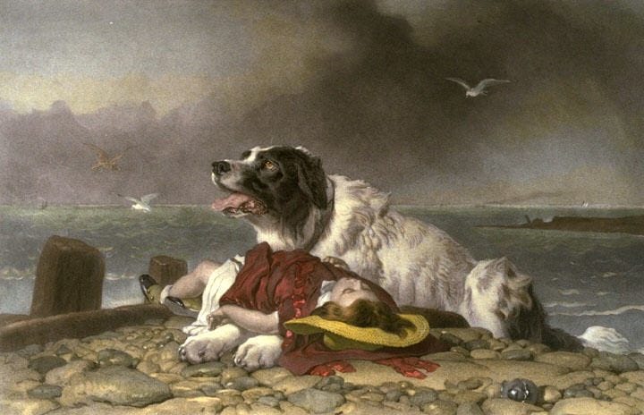 Painting of black and white Newfoundland and rescued girl on the shore Painting of black and white Newfoundland and rescued girl on the shore