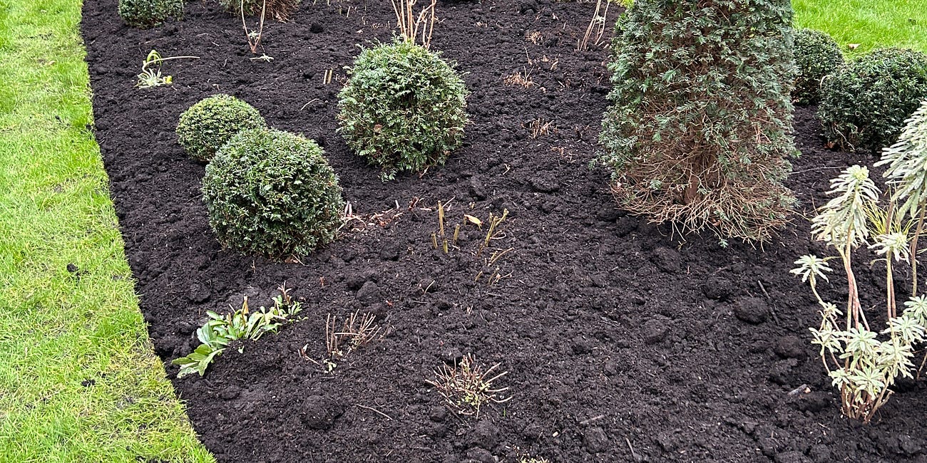 Mad for Mulch