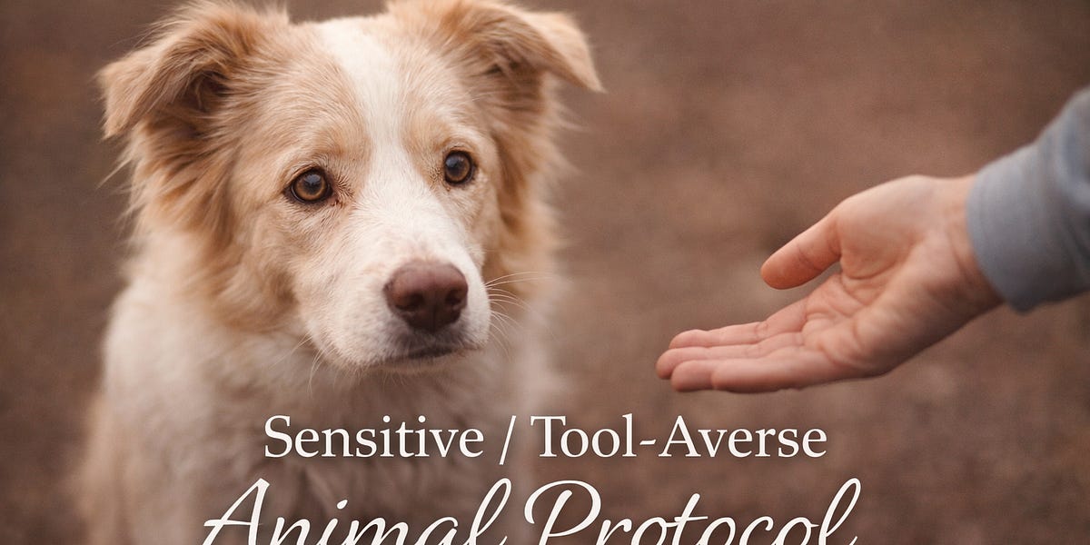 Sensitive Animals When Animals Fear Touch: Supporting Sensitive & Tool‑Averse Animals ...
