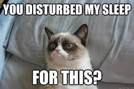 You Disturbed my sleep For this? - Grumpy cat wake up - quickmeme