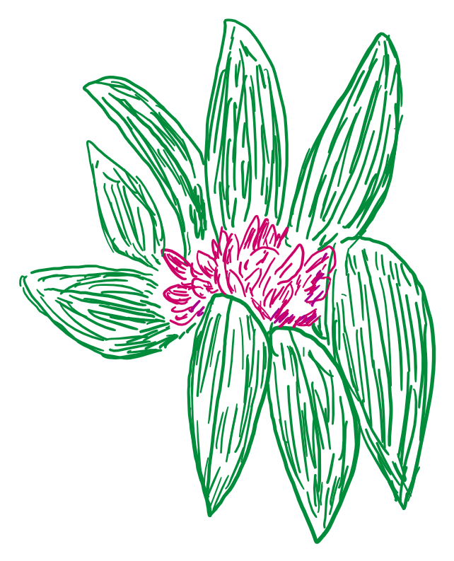 Ink Drawings
Ink Drawings
Ink Drawings
Ink Drawings
Ink Drawings
Ink Drawings
Ink Drawings
Ink Drawings
Ink Drawings
Ink Drawings
Ink Drawings
Ink Drawings
Ink Drawings
Ink Drawings
Ink Drawings
Ink Drawings
Ink Drawings
Ink Drawings
Ink Drawings
Ink Drawings
Ink Drawings
Ink Drawings
Ink Drawings
Ink Drawings
Ink Drawings
Ink Drawings
Ink Drawings
Ink Drawings
Ink Drawings
Ink Drawings
Ink Drawings
Ink Drawings
Ink Drawings
Ink Drawings
Ink Drawings
Ink Drawings
Ink Drawings
Ink Drawings
Ink Drawings
Ink Drawings
Ink Drawings
Ink Drawings
Ink Drawings
Ink Drawings
Ink Drawings
Ink Drawings
Ink Drawings
Ink Drawings
Ink Drawings
Ink Drawings
Ink Drawings
Ink Drawings
Ink Drawings
Ink Drawings
Ink Drawings
Ink Drawings
Ink Drawings
Ink Drawings
Ink Drawings
Ink Drawings
Ink Drawings
Ink Drawings
Ink Drawings
Ink Drawings
Ink Drawings
Ink Drawings
Ink Drawings
Ink Drawings
Ink Drawings
Ink Drawings
Ink Drawings
Ink Drawings
Ink Drawings
Ink Drawings
Ink Drawings
Ink Drawings
Ink Drawings
Ink Drawings
Ink Drawings
Ink Drawings
Ink Drawings
Ink Drawings
Ink Drawings
Ink Drawings
Ink Drawings
Ink Drawings
Ink Drawings
Ink Drawings
Ink Drawings
Ink Drawings
Ink Drawings
Ink Drawings
Ink Drawings
Ink Drawings
Ink Drawings
Ink Drawings
Ink Drawings
Ink Drawings
Ink Drawings
Ink Drawings
Ink Drawings
Ink Drawings
Ink Drawings
Ink Drawings
Ink Drawings
Ink Drawings
Ink Drawings
Ink Drawings
Ink Drawings
Ink Drawings
Ink Drawings
Ink Drawings
Ink Drawings
Ink Drawings
Ink Drawings
Ink Drawings
Ink Drawings
Ink Drawings
Ink Drawings
Ink Drawings
Ink Drawings
Ink Drawings
Ink Drawings
Ink Drawings
Ink Drawings
Ink Drawings
Ink Drawings
Ink Drawings
Ink Drawings
Ink Drawings
Ink Drawings
Ink Drawings
Ink Drawings
Ink Drawings
Ink Drawings
Ink Drawings
Ink Drawings
Ink Drawings
Ink Drawings
Ink Drawings
Ink Drawings
Ink Drawings
Ink Drawings
Ink Drawings
Ink Drawings
Ink Drawings
Ink Drawings
Ink Drawings
Ink Drawings
Ink Drawings
Ink Drawings
Ink Drawings
Ink Drawings
Ink Drawings
Ink Drawings
Ink Drawings
Ink Drawings
Ink Drawings
Ink Drawings
Ink Drawings
Ink Drawings
Ink Drawings
Ink Drawings
Ink Drawings
Ink Drawings
Ink Drawings
Ink Drawings
Ink Drawings
Ink Drawings
Ink Drawings
Ink Drawings
Ink Drawings
Ink Drawings
Ink Drawings
Ink Drawings
Ink Drawings
Ink Drawings
Ink Drawings
Ink Drawings
Ink Drawings
Ink Drawings
Ink Drawings
Ink Drawings
Ink Drawings
Ink Drawings
Ink Drawings
Ink Drawings
Ink Drawings
Ink Drawings
Ink Drawings
Ink Drawings
Ink Drawings
Ink Drawings
Ink Drawings
Ink Drawings
Ink Drawings
Ink Drawings
Ink Drawings
Ink Drawings
Ink Drawings
Ink Drawings
Ink Drawings
Ink Drawings
Ink Drawings
Ink Drawings
Ink Drawings
Ink Drawings
Ink Drawings
Ink Drawings
Ink Drawings
Ink Drawings
Ink Drawings
Ink Drawings
Ink Drawings
Ink Drawings
Ink Drawings
Ink Drawings
Ink Drawings
Ink Drawings
Ink Drawings
Ink Drawings
Ink Drawings
Ink Drawings
Ink Drawings
Ink Drawings
Ink Drawings
Ink Drawings
Ink Drawings
Ink Drawings
Ink Drawings
Ink Drawings
Ink Drawings
Ink Drawings
Ink Drawings
Ink Drawings
Ink Drawings
Ink Drawings
Ink Drawings
Ink Drawings
Ink Drawings
Ink Drawings
Ink Drawings
Ink Drawings
Ink Drawings
Ink Drawings
Ink Drawings
Ink Drawings
Ink Drawings
Ink Drawings
Ink Drawings
Ink Drawings
Ink Drawings
Ink Drawings
Ink Drawings
Ink Drawings
Ink Drawings
Ink Drawings
Ink Drawings
Ink Drawings
Ink Drawings
Ink Drawings
Ink Drawings
Ink Drawings
Ink Drawings
Ink Drawings
Ink Drawings
Ink Drawings
Ink Drawings
Ink Drawings
Ink Drawings
Ink Drawings
Ink Drawings
Ink Drawings
Ink Drawings
Ink Drawings
Ink Drawings
Ink Drawings
Ink Drawings
Ink Drawings
Ink Drawings
Ink Drawings
Ink Drawings
Ink Drawings
Ink Drawings
Ink Drawings
Ink Drawings
Ink Drawings
Ink Drawings
Ink Drawings
Ink Drawings
Ink Drawings
Ink Drawings
Ink Drawings
Ink Drawings
Ink Drawings
Ink Drawings
Ink Drawings
Ink Drawings
Ink Drawings
Ink Drawings
Ink Drawings
Ink Drawings
Ink Drawings
Ink Drawings
Ink Drawings
Ink Drawings
Ink Drawings
Ink Drawings
Ink Drawings
Ink Drawings
Ink Drawings
Ink Drawings
Ink Drawings
Ink Drawings
Ink Drawings
Ink Drawings
Ink Drawings
Ink Drawings
Ink Drawings
Ink Drawings
Ink Drawings
Ink Drawings
Ink Drawings
Ink Drawings
Ink Drawings
Ink Drawings
Ink Drawings
Ink Drawings
Ink Drawings
Ink Drawings
Ink Drawings
Ink Drawings
Ink Drawings
Ink Drawings
Ink Drawings
Ink Drawings
Ink Drawings
Ink Drawings
Ink Drawings
Ink Drawings
Ink Drawings
Ink Drawings
Ink Drawings
Ink Drawings
Ink Drawings
Ink Drawings
Ink Drawings
Ink Drawings
Ink Drawings
Ink Drawings
Ink Drawings
Ink Drawings
Ink Drawings
Ink Drawings
Ink Drawings
Ink Drawings
Ink Drawings
Ink Drawings
Ink Drawings
Ink Drawings
Ink Drawings
Ink Drawings
Ink Drawings
Ink Drawings
Ink Drawings
Ink Drawings
Ink Drawings
Ink Drawings
Ink Drawings
Ink Drawings
Ink Drawings
Ink Drawings
Ink Drawings
Ink Drawings
Ink Drawings
Ink Drawings
Ink Drawings
Ink Drawings
Ink Drawings
Ink Drawings
Ink Drawings
Ink Drawings
Ink Drawings
Ink Drawings
Ink Drawings
Ink Drawings
Ink Drawings
Ink Drawings
Ink Drawings
Ink Drawings
Ink Drawings
Ink Drawings
Ink Drawings
Ink Drawings
Ink Drawings
Ink Drawings
Ink Drawings
Ink Drawings
Ink Drawings
Ink Drawings
Ink Drawings
Ink Drawings
Ink Drawings
Ink Drawings
Ink Drawings
Ink Drawings
Ink Drawings
Ink Drawings
Ink Drawings
Ink Drawings
Ink Drawings
Ink Drawings
Ink Drawings
Ink Drawings
Ink Drawings
Ink Drawings
Ink Drawings
Ink Drawings
Ink Drawings
Ink Drawings
Ink Drawings
Ink Drawings
Ink Drawings
Ink Drawings
Ink Drawings
Ink Drawings
Ink Drawings
Ink Drawings
Ink Drawings
Ink Drawings
Ink Drawings
Ink Drawings
Ink Drawings
Ink Drawings
Ink Drawings
Ink Drawings
Ink Drawings
Ink Drawings
Ink Drawings
Ink Drawings
Ink Drawings
Ink Drawings
Ink Drawings
Ink Drawings
Ink Drawings
Ink Drawings
Ink Drawings
Ink Drawings
Ink Drawings
