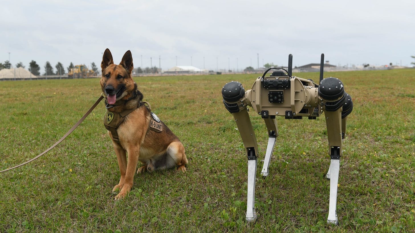 A live dog sits next to a robot dog A live dog sits next to a robot dog