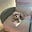 Noel De Cauwer's avatar