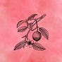 guava's avatar