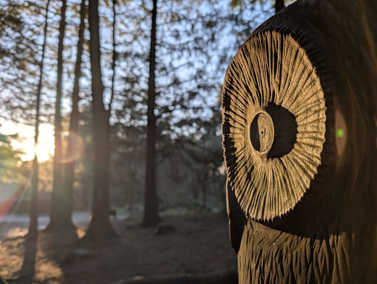 Wooden owl carving at Beacon Fell