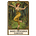 A Baggy-Trousered Tarotist