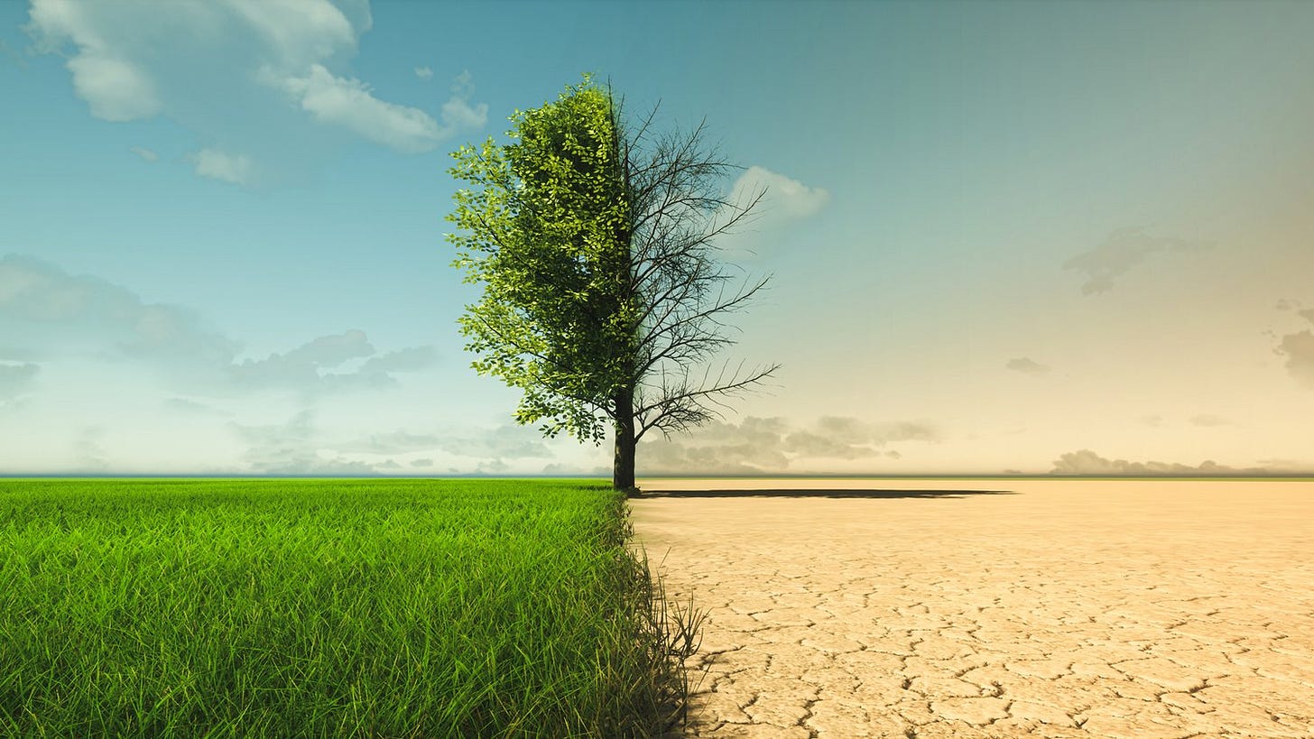 Image of greenery to drought transformation