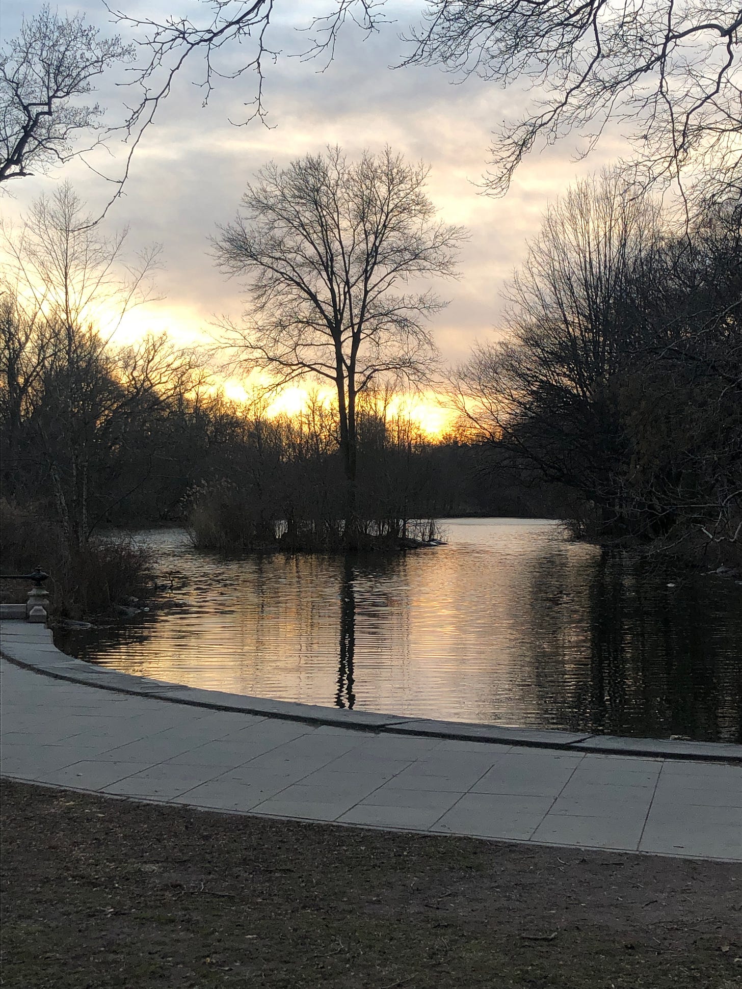 Sun setting in prospect park over a lake. Lots of yellows!