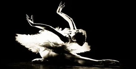 The Performer.