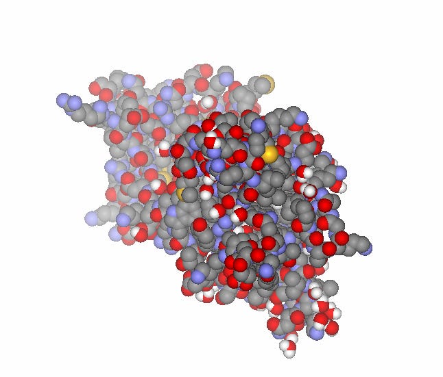 File:Brain-derived neurotrophic factor - PDB id 1BND.png - Wikimedia Commons