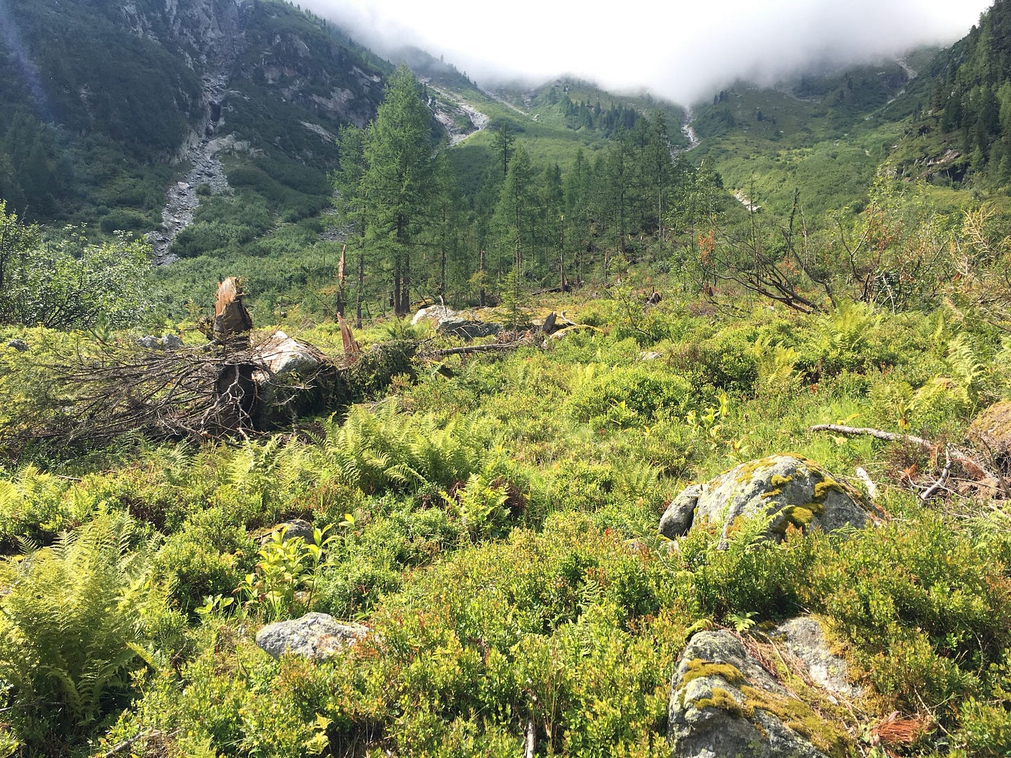 A storm – or avalanche? – must have come through.