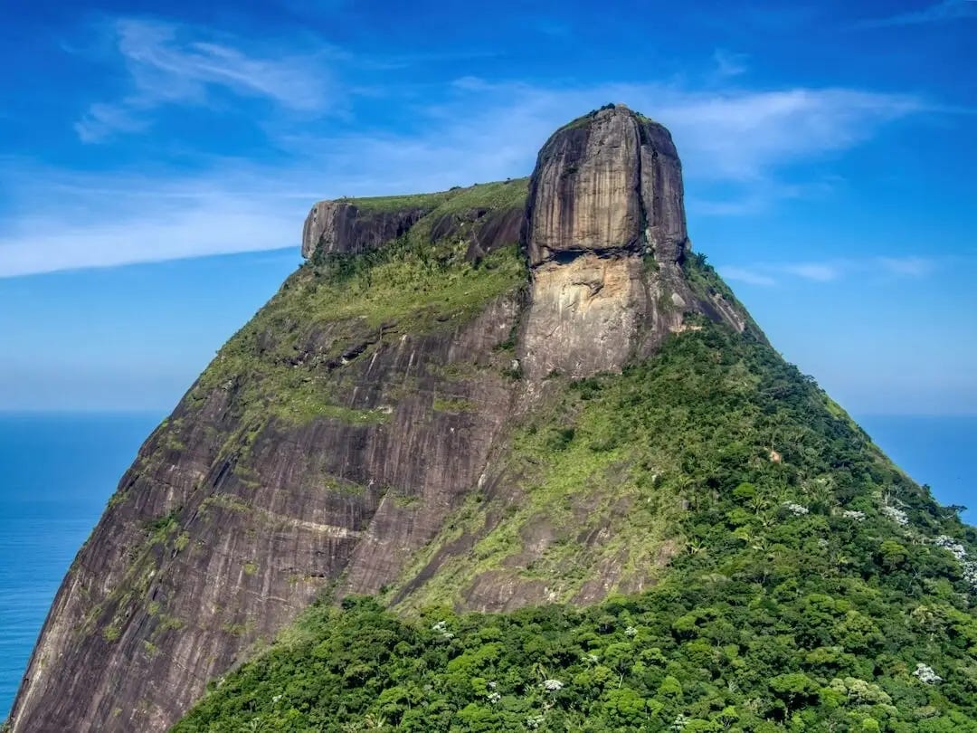  A monolithic rock formation covered in foliage