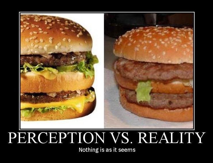Perception vs Reality – Adjusted Reality