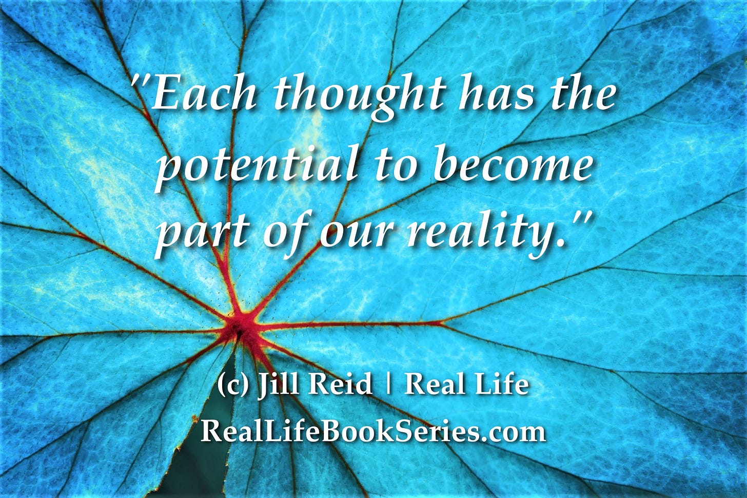 Real Life by Jill Reid