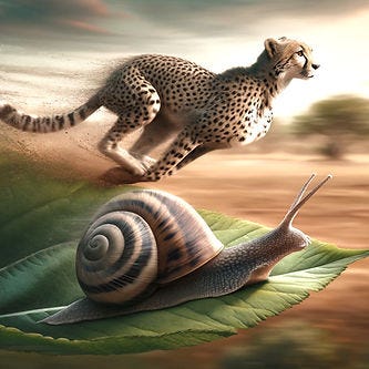 A cheetah and snail racing