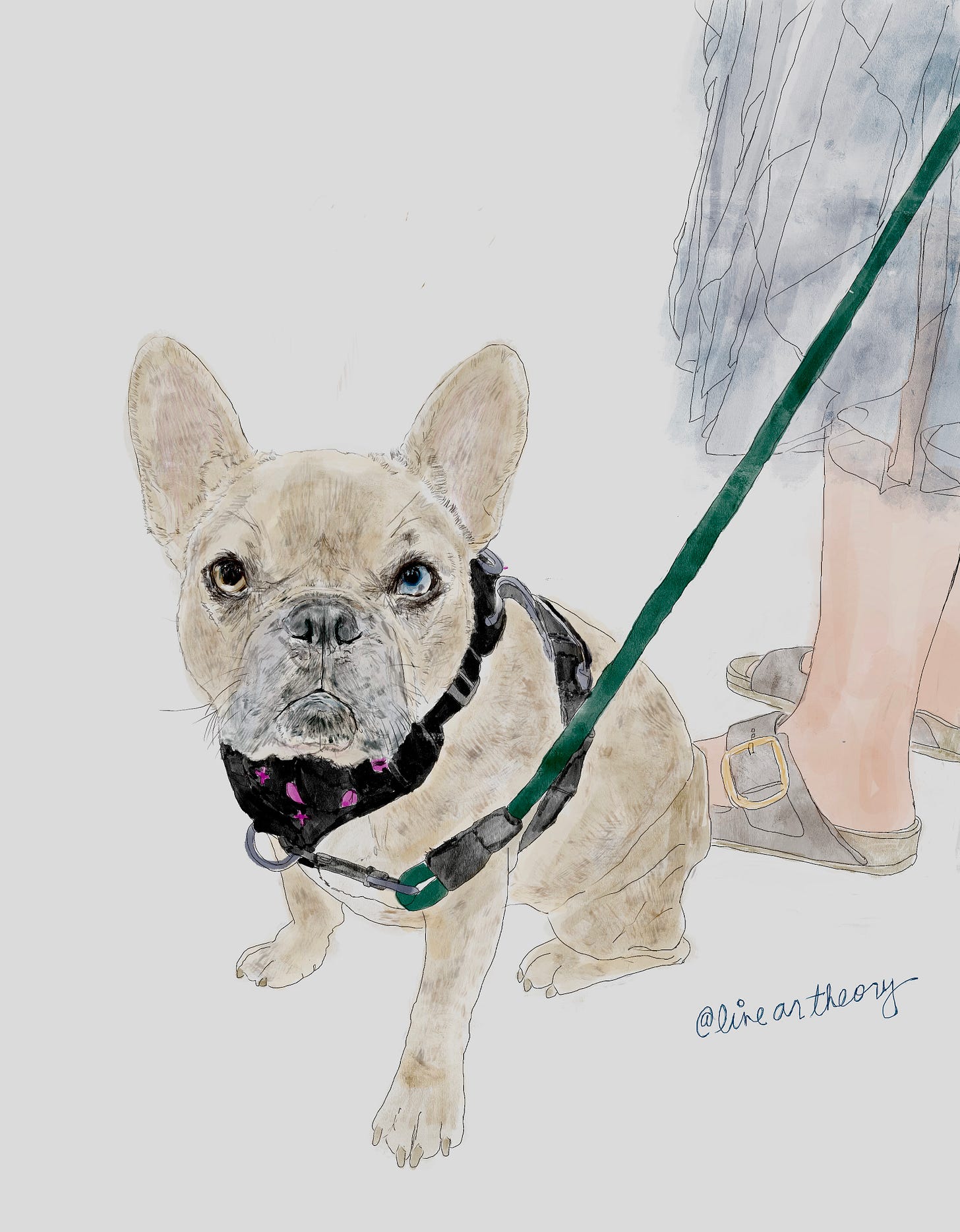 qotd, rumi, sahil bloom, jay shetty, on purpose, feel better, inspirational quotes, book recs, best books, goodreads, humor, iamthirtyaf, illustrations, mental wellness, power of positive thinking, universe, gratitude, friends, positivity, confidence, nice news, art, line drawings, linear theory, inspirational quotes, new yorker, poetry, universe, life advice, career, success, positive news, c magazine, ad magazine  dogs, dogsofinstagram, Goldendoodle, petlovers, pets, California, French bull dog, Santa Monica 