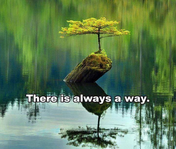 Quotes about There Is Always A Way (171 quotes)