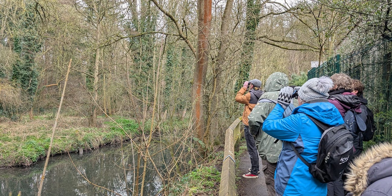 Community-led scheme to enhance wildlife on the Ouseburn