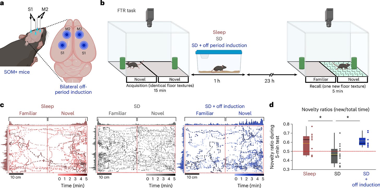 Fig. 5: Bilateral off induction during SD recovers memory performance in a novel FTR task.