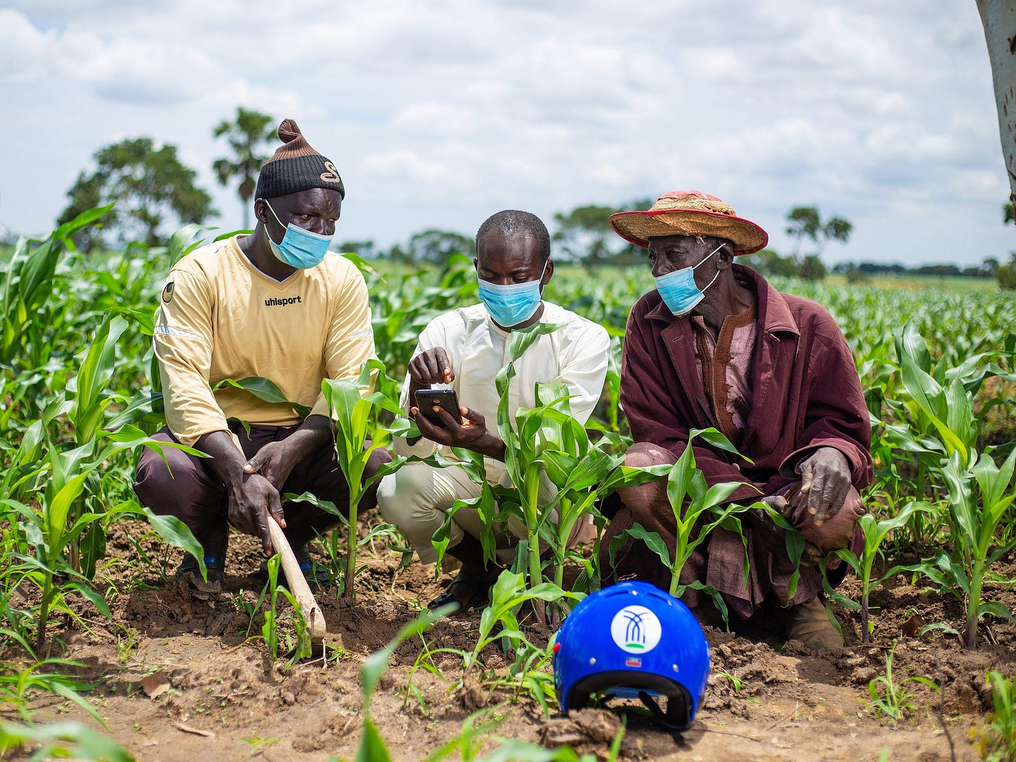 Babban Gona makes farming more profitable for Nigeria's smallholders, especially youth and women - West Africa Trade & Investment Hub Babban Gona makes farming more profitable for Nigeria's smallholders, especially youth and women - West Africa Trade & Investment Hub