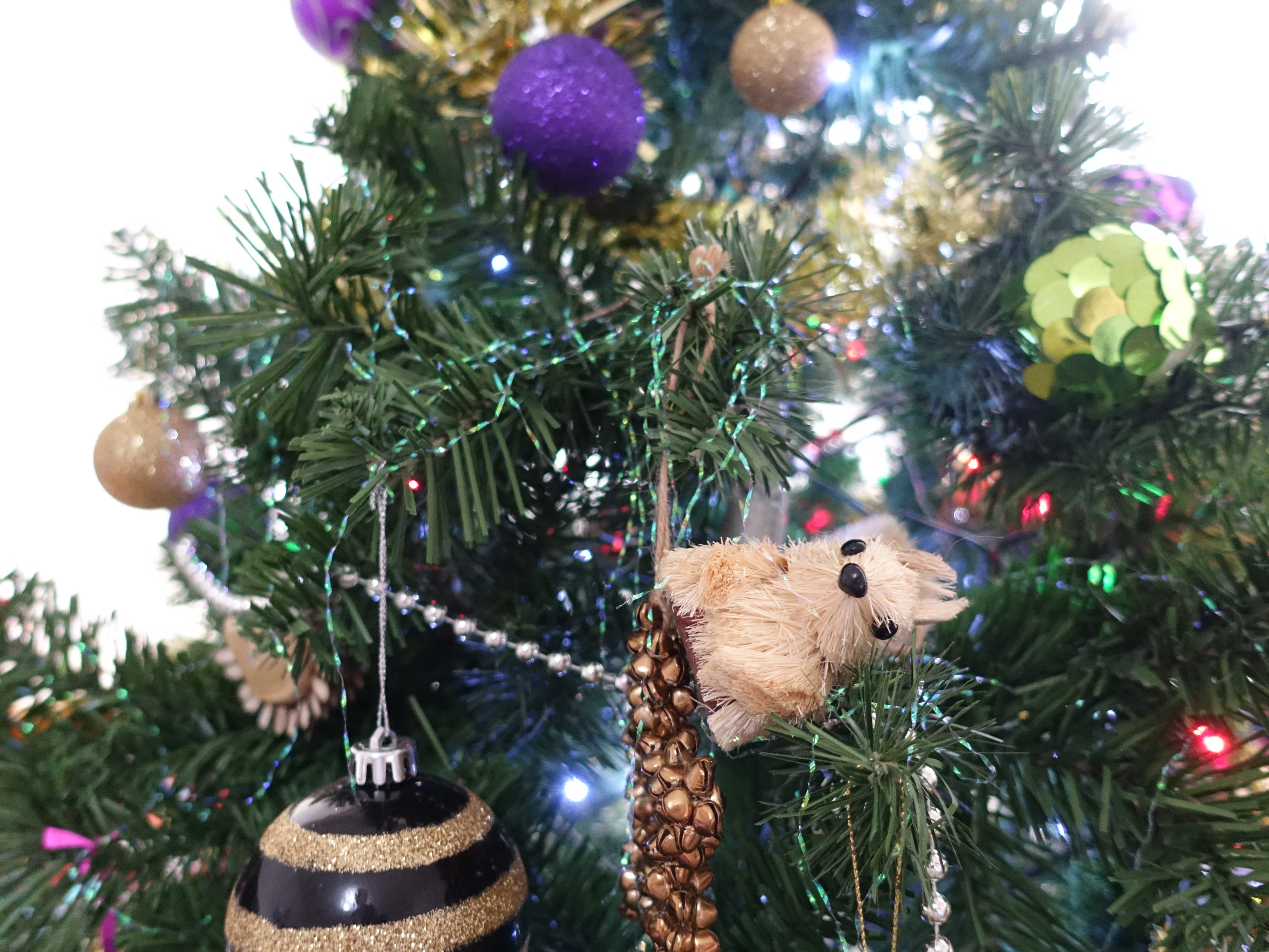 We all complain about Christmas creep